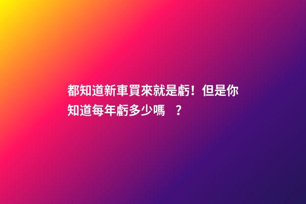 都知道新車買來就是虧！但是你知道每年虧多少嗎？